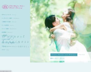東京の結婚相談所「ブライダルハーモニー」丁寧重視の親切な縁組で高成婚率